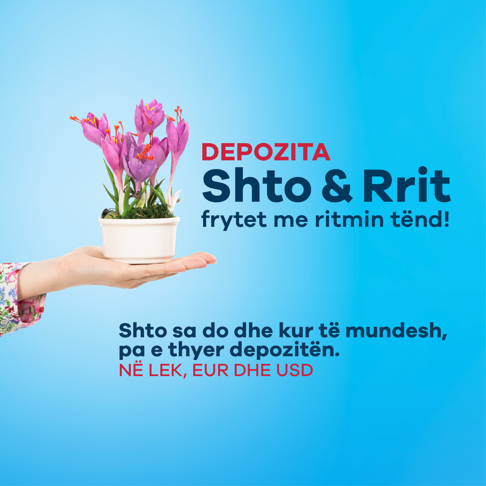 Depozita Shto & Rrit